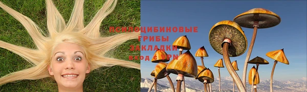 дурь Осташков