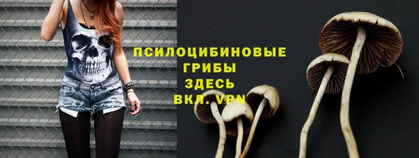 винт Осинники