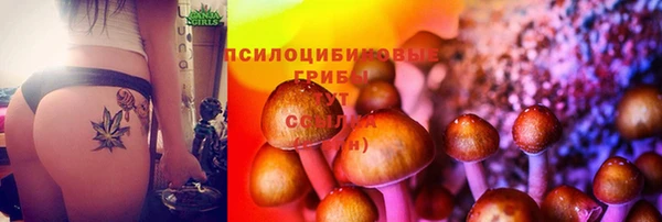 эйфоретик Шарыпово