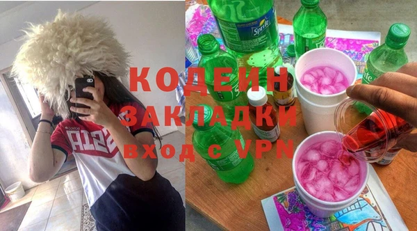 дурь Осташков
