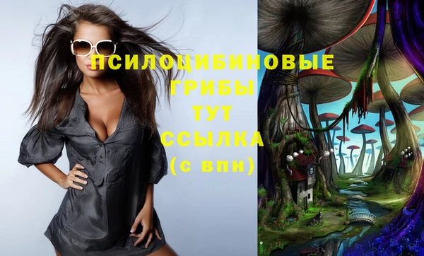 стафф Нягань