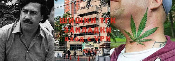 дурь Осташков
