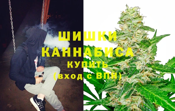 винт Осинники