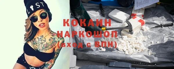 винт Осинники