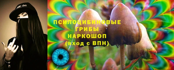 дживик Остров