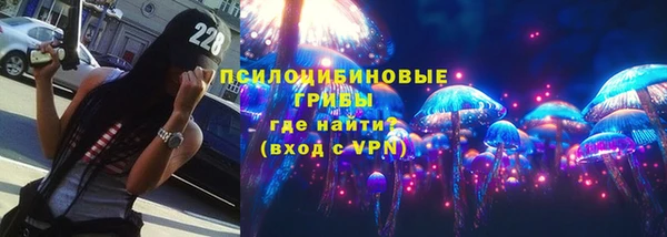 винт Осинники