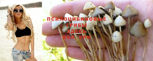 дживик Остров