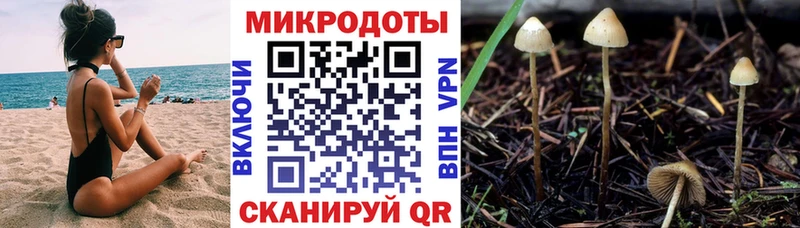 Галлюциногенные грибы мухоморы  Усмань 